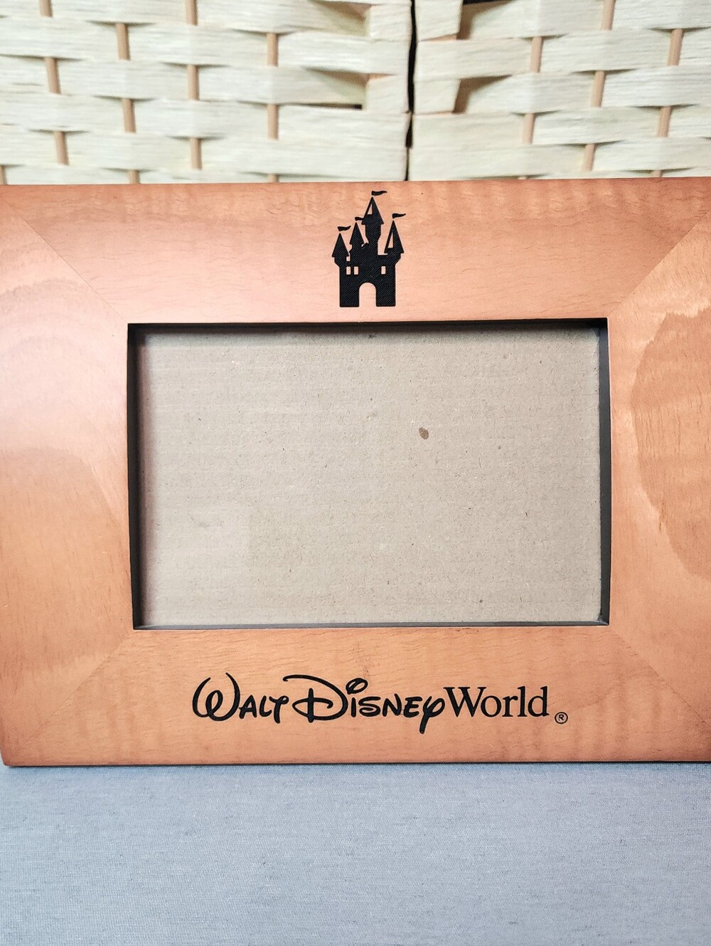 Walt Disney World Theme Park Exclusive Curved Picture Frame